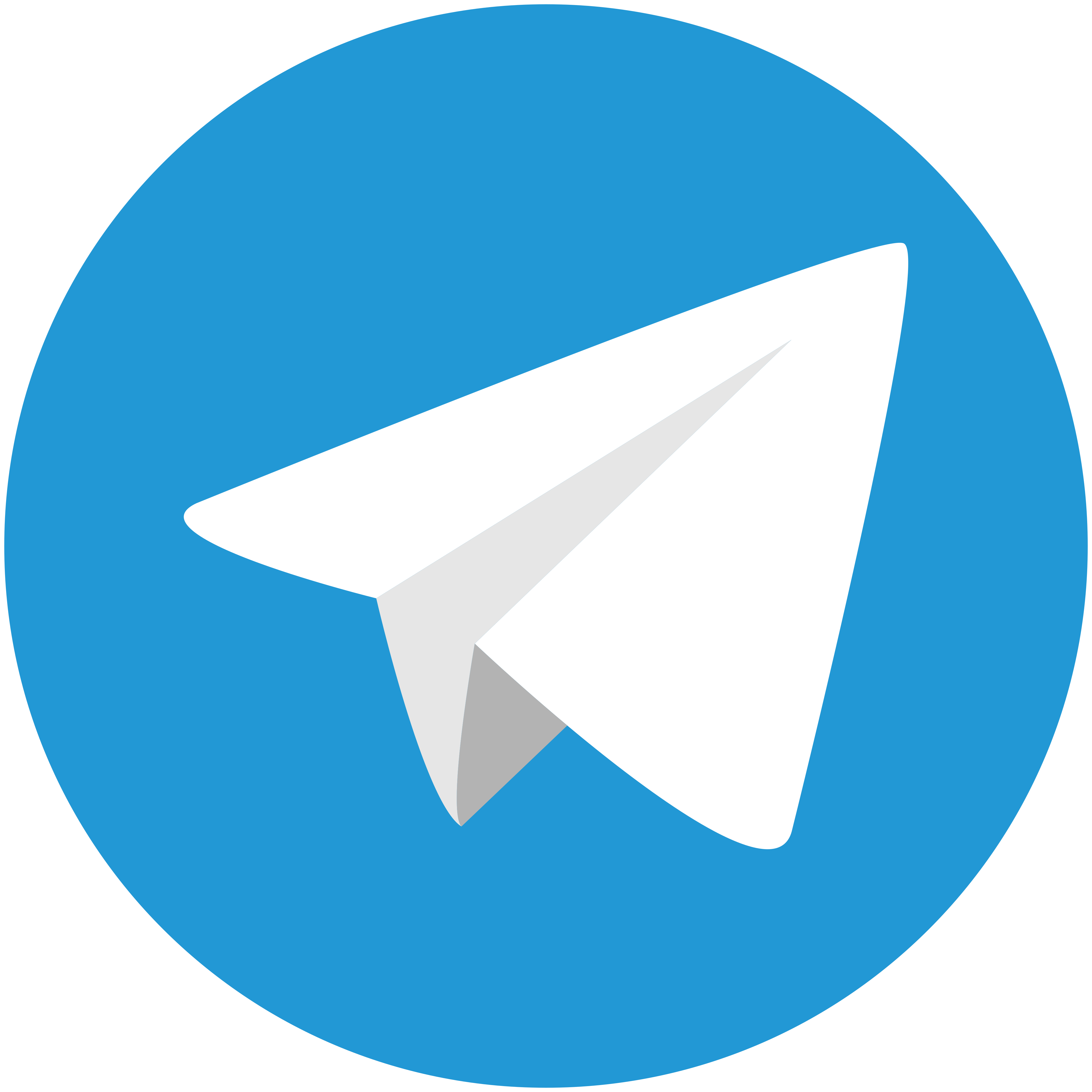 icon_telegram icon_telegram